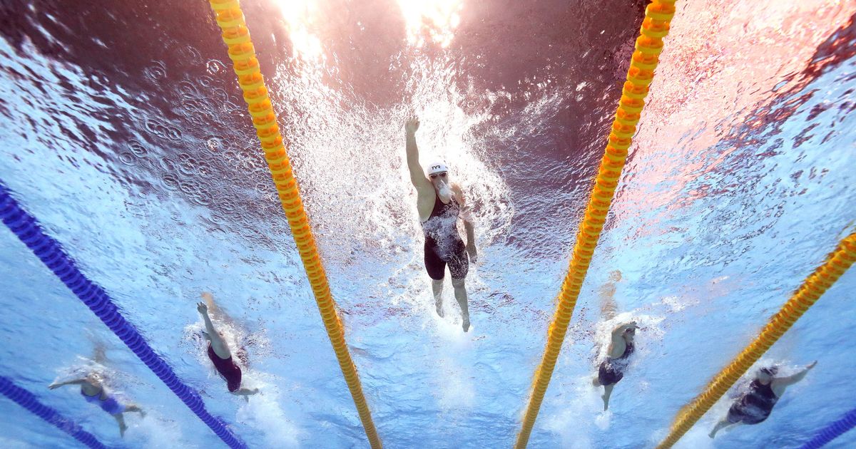 World Aquatics World Aquatics