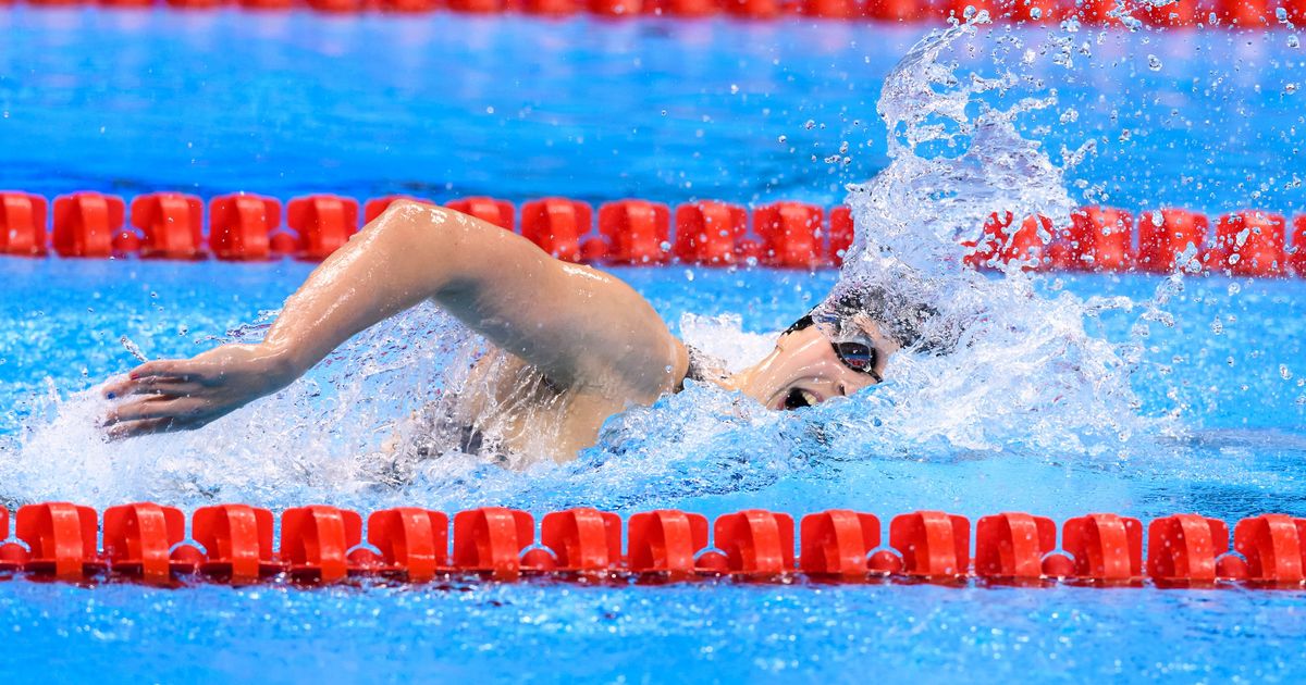 Swimming, Finals, Day 7 Ledecky imperial, Schooling makes history!