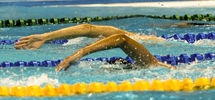 PR 80 - Indianapolis (USA) will host the 2017 FINA World Junior Swimming Championships