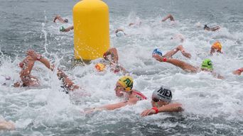 Fina Org Official Fina Website