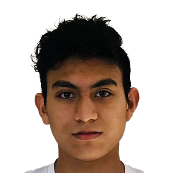 Roberto VALDES OCHOA