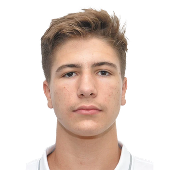 Andrei TEPELUS