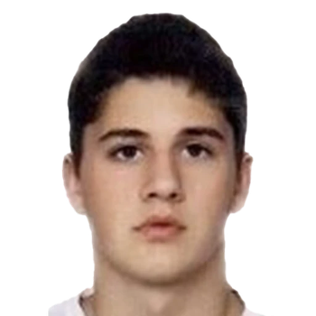Dusan VASIC