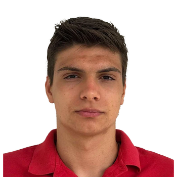 Danilo STUPAR