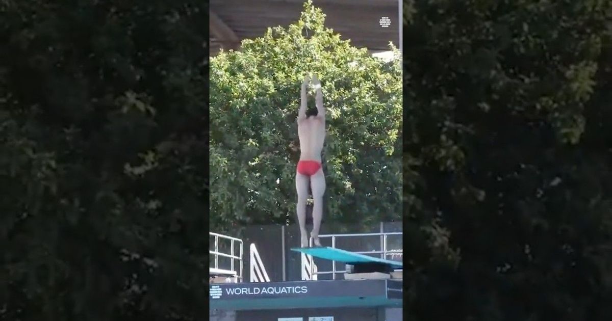 YAN Xin’s Stunning 3m Springboard Dive at World Championships #diving