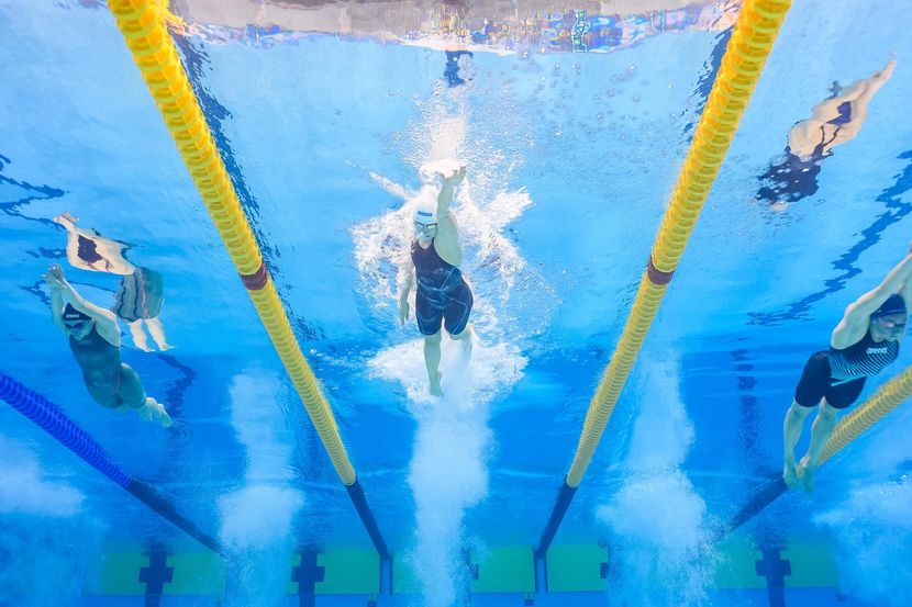 swimming fantasy game
