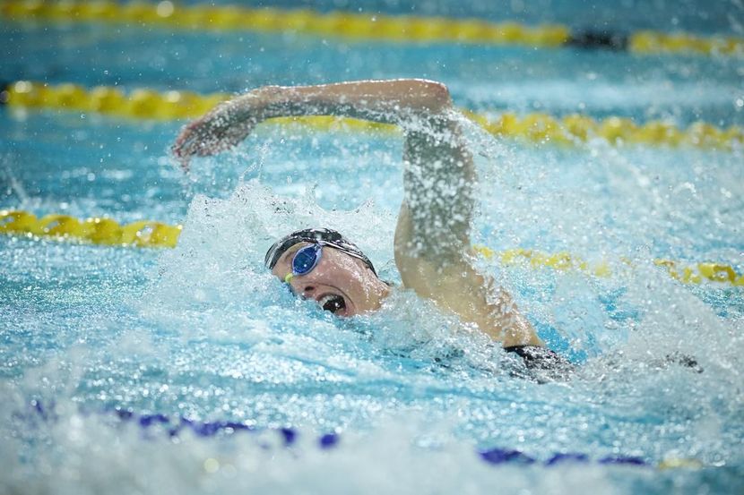 World Aquatics seminar December 2025